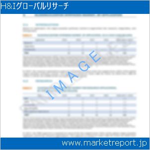 市場と産業調査レポートのイメージ
